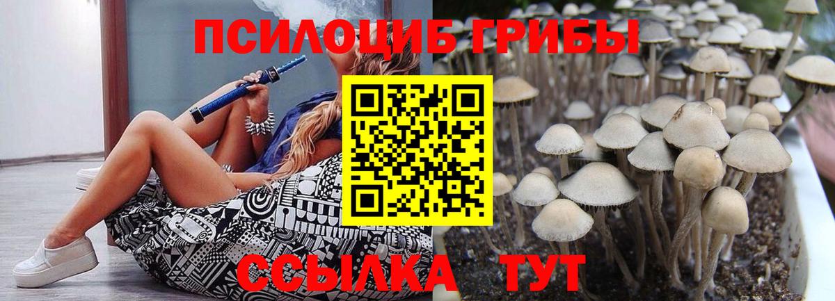 Псилоцибиновые грибы GOLDEN TEACHER  Вход с VPN  Йошкар-Ола  Псилоцибиновые грибы Cubensis 